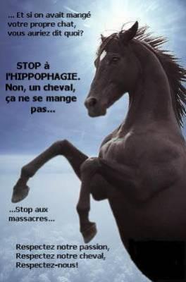 l'Hippophagie